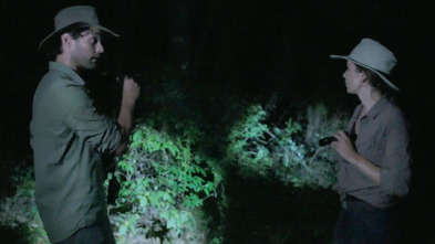 Expedición X (T2): Fantasmas en el pantano