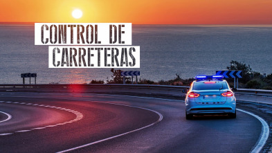 Control de carreteras (T1)