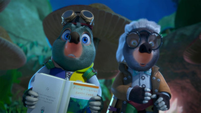 Moley (T1): Consejos de acampada