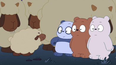 Somos ositos (T1): Osos ovejeros