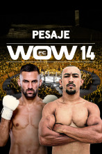WOW 14 (2024)