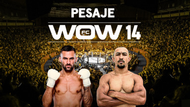 WOW 14 (2024)