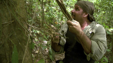 Imagen de Dúo de supervivientes - 2