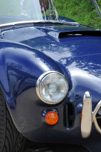 Joyas sobre ruedas (T9): Cobra