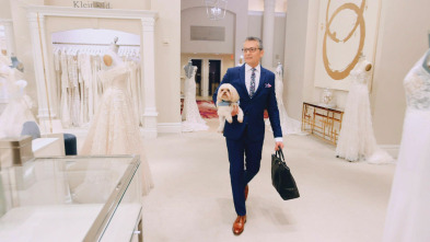 ¡Sí, quiero ese... (T20): Kleinfeld allá voy