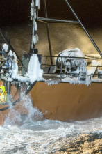 Pesca radical (T10): Contra la ley