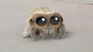 Lucas la Araña (T1): Ahora voy / Mirando las nubes / No lo hagas, Arlo