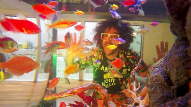 Acuarios XXL (T6): Acuario para Party Rockin'