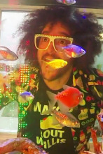 Acuarios XXL (T6): Acuario para Party Rockin'