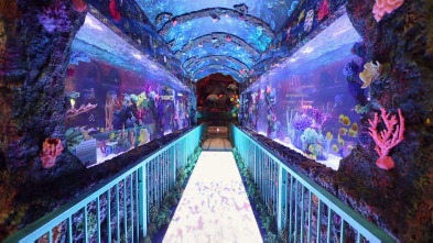 Acuarios XXL (T6): Cambio de imagen para Bellagio