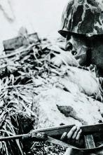En el campo de...: Los héroes de Tarawa