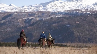 Alaska, última frontera: Hasta que las vacas vuelvan a casa