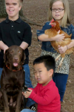 Imagen de ¡Menuda familia! (T1): Una carrera de gallinas - 1