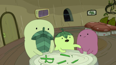 Hora De Aventuras (T6): El hermanito