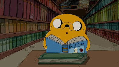 Imagen de Hora De Aventuras (T8): No mires - 2