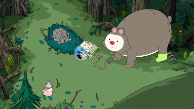 Imagen de Hora De Aventuras (T8): Islas, parte 3: Isla misteriosa - 2