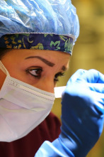 Imagen de La doctora Lee, los...: El increíble lipoma que se achica - 1