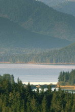 Mi familia vive en Alaska (T7)