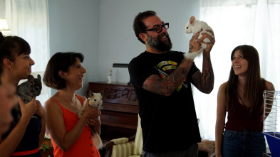Supercasas para...: Un paraíso para chinchillas