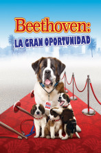 Imagen de Beethoven: la gran oportunidad - 1