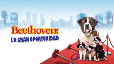 Imagen de Beethoven: la gran oportunidad - 2