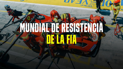 8 horas de Baréin