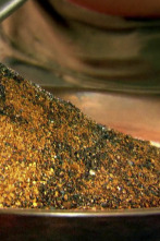 La fiebre del oro (T7): Oro de record