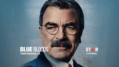 Blue Bloods (T14)