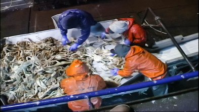 Pesca radical (T1): El tiempo se acaba