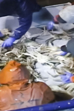 Pesca radical (T1): El tiempo se acaba