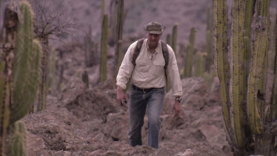 Imagen de Dúo de supervivientes: Avería en el desierto - 2