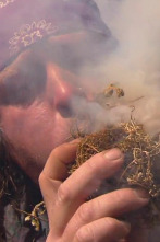 Dúo de supervivientes: Pánico en la jungla