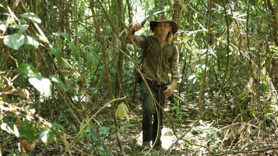 Imagen de Cazadores de...: Climax transparente - 2