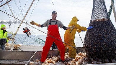 Imagen de Dirty Jobs (T9): Gelatina e instalador de epoxi - 2