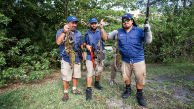 Dirty Jobs (T9): Cirujano de combate y cazador de iguanas