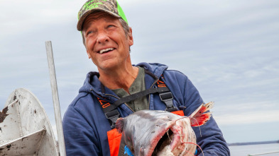 Dirty Jobs (T9): Cosechar caviar y creador de especias