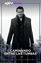 Imagen de Caminando entre las tumbas - 16