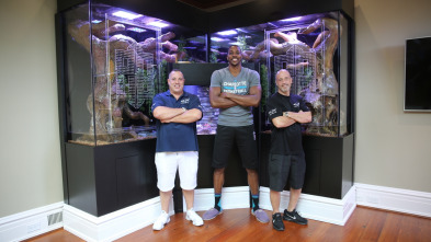 Acuarios XXL (T7): El acuario para serpientes de Dwight Howard