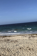 Quiero vivir en... (T13): Explorar nuevos territorios en Aruba