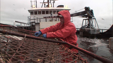 Pesca radical (T3): Las tribulaciones de los novatos