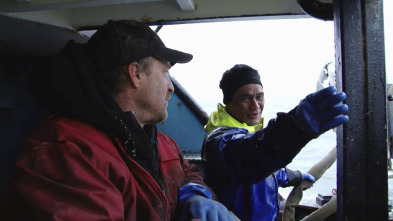 Pesca radical (T6): Sin fin