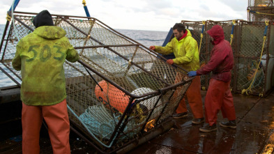 Pesca radical (T8): Eslabones débiles