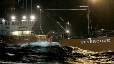 Pesca radical (T8): Las secuelas