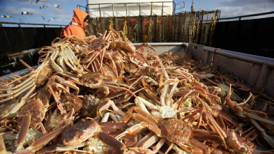 Imagen de Pesca radical (T8): Sin acceso al mar - 2