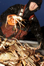 Pesca radical (T8): Líderes sin miedo