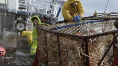 Pesca radical (T9): Así que quieres ser el propietario de un buque