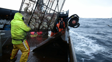 Pesca radical (T11): Supertifón Parte 2