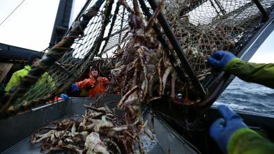 Pesca radical (T11): Las campanas del infierno