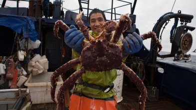 Pesca radical (T12): Malas acciones