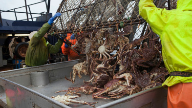Pesca radical (T12): Into the Gale